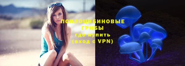 jwh Бородино