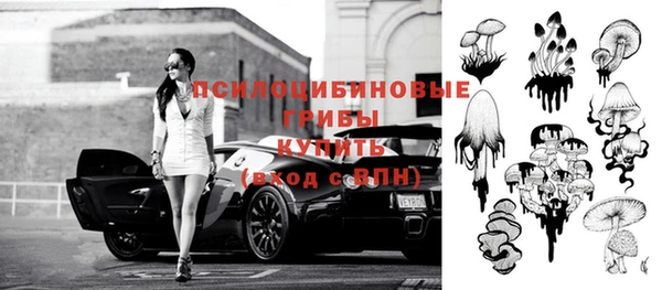 jwh Бородино